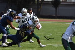 cheyennes-pumas-cu-2023-intermedia-onefa-149