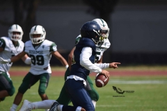 cheyennes-pumas-cu-2023-intermedia-onefa-153