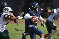 cheyennes-pumas-cu-2023-intermedia-onefa-158