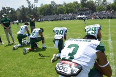 cheyennes-pumas-cu-2023-intermedia-onefa-16