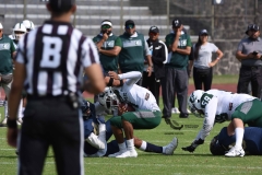 cheyennes-pumas-cu-2023-intermedia-onefa-166