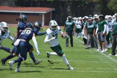 cheyennes-pumas-cu-2023-intermedia-onefa-17