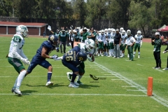 cheyennes-pumas-cu-2023-intermedia-onefa-18