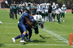 cheyennes-pumas-cu-2023-intermedia-onefa-19