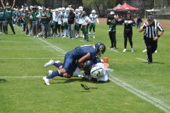 cheyennes-pumas-cu-2023-intermedia-onefa-21