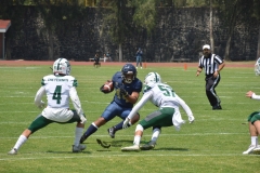 cheyennes-pumas-cu-2023-intermedia-onefa-23