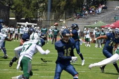 cheyennes-pumas-cu-2023-intermedia-onefa-24