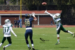cheyennes-pumas-cu-2023-intermedia-onefa-25