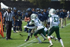 cheyennes-pumas-cu-2023-intermedia-onefa-28