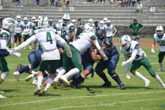 cheyennes-pumas-cu-2023-intermedia-onefa-29