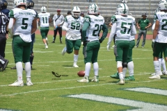 cheyennes-pumas-cu-2023-intermedia-onefa-31