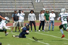 cheyennes-pumas-cu-2023-intermedia-onefa-32