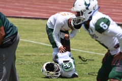 cheyennes-pumas-cu-2023-intermedia-onefa-44
