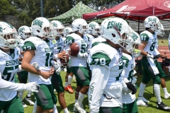 cheyennes-pumas-cu-2023-intermedia-onefa-5