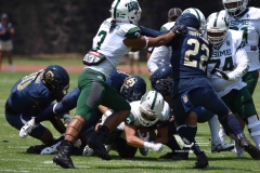 cheyennes-pumas-cu-2023-intermedia-onefa-63