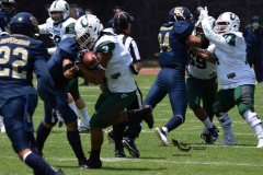 cheyennes-pumas-cu-2023-intermedia-onefa-65