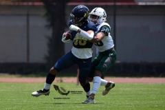 cheyennes-pumas-cu-2023-intermedia-onefa-68