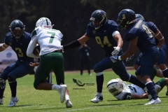 cheyennes-pumas-cu-2023-intermedia-onefa-69