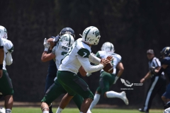 cheyennes-pumas-cu-2023-intermedia-onefa-71