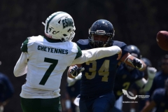 cheyennes-pumas-cu-2023-intermedia-onefa-72