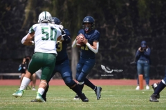 cheyennes-pumas-cu-2023-intermedia-onefa-85