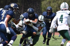 cheyennes-pumas-cu-2023-intermedia-onefa-88