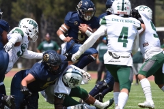 cheyennes-pumas-cu-2023-intermedia-onefa-89