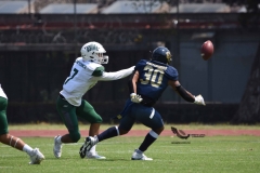 cheyennes-pumas-cu-2023-intermedia-onefa-98