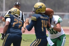cheyennes-pumas-cu-semifinal-intermedia-2024-105