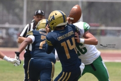 cheyennes-pumas-cu-semifinal-intermedia-2024-106