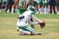 cheyennes-pumas-cu-semifinal-intermedia-2024-119
