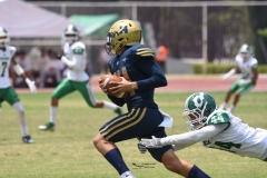 cheyennes-pumas-cu-semifinal-intermedia-2024-120