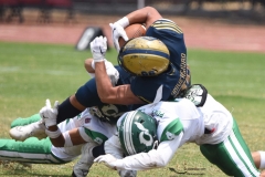 cheyennes-pumas-cu-semifinal-intermedia-2024-130