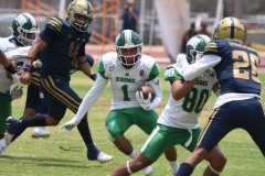 cheyennes-pumas-cu-semifinal-intermedia-2024-132