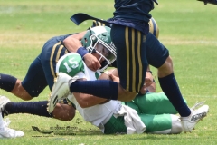 cheyennes-pumas-cu-semifinal-intermedia-2024-133