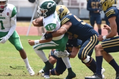 cheyennes-pumas-cu-semifinal-intermedia-2024-136