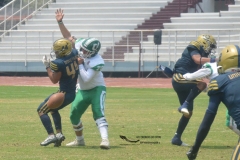 cheyennes-pumas-cu-semifinal-intermedia-2024-16