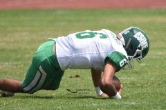 cheyennes-pumas-cu-semifinal-intermedia-2024-24