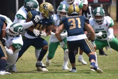 cheyennes-pumas-cu-semifinal-intermedia-2024-25