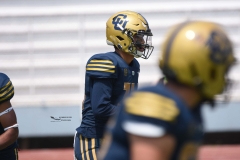 cheyennes-pumas-cu-semifinal-intermedia-2024-26