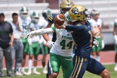 cheyennes-pumas-cu-semifinal-intermedia-2024-50