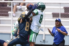 cheyennes-pumas-cu-semifinal-intermedia-2024-75