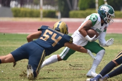 cheyennes-pumas-cu-semifinal-intermedia-2024-88