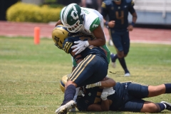 cheyennes-pumas-cu-semifinal-intermedia-2024-93