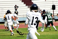 pumas-cu-cheyennes-semifinal-2023-onefa-141