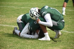 pumas-cu-cheyennes-semifinal-2023-onefa-165