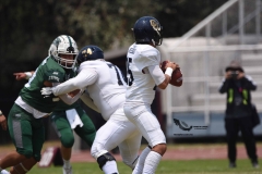 pumas-cu-cheyennes-semifinal-2023-onefa-24