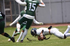pumas-cu-cheyennes-semifinal-2023-onefa-27