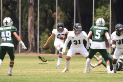 pumas-cu-cheyennes-semifinal-2023-onefa-61
