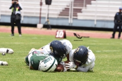 pumas-cu-cheyennes-semifinal-2023-onefa-65